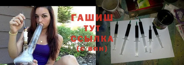 гидра Верхний Тагил