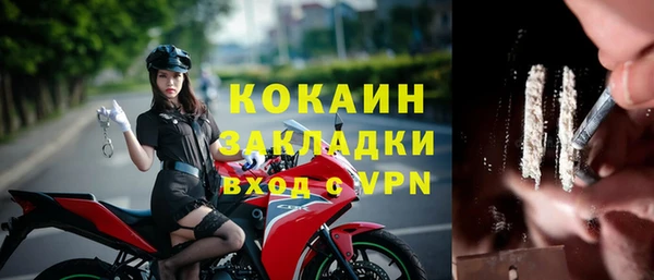 гидра Верхний Тагил