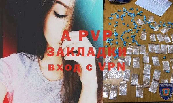 бошки Бородино