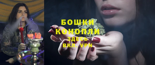 гидра Верхний Тагил