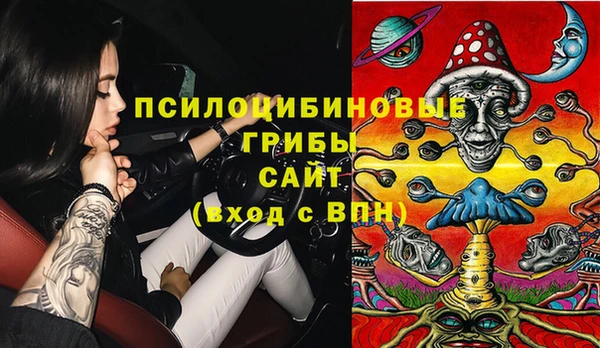 гидра Верхний Тагил
